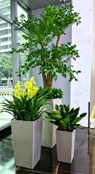 海曙花卉租摆市场需求八个细节，决定效果